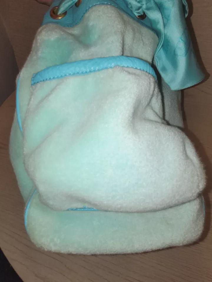 Vintage Juicy Couture Baby Blue Velour Daydreamer Bag with Bow and Scotty Dog Charms – Gold Hardware