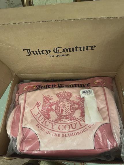Juicy Couture Pink Daydreamer Bag – NWT, Rare Y2K Velour Tote with Scottie Dog Charms